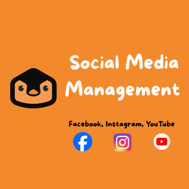 Social Media Management (Monthly)