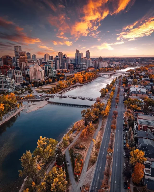 Professional website design helping a Calgary business attract local customers
